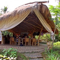 Green school bali